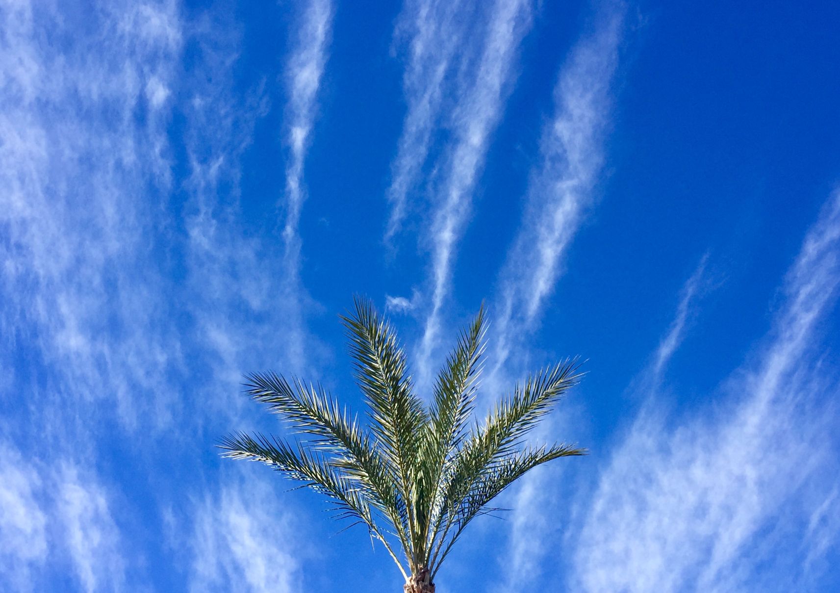 Admirer of clouds